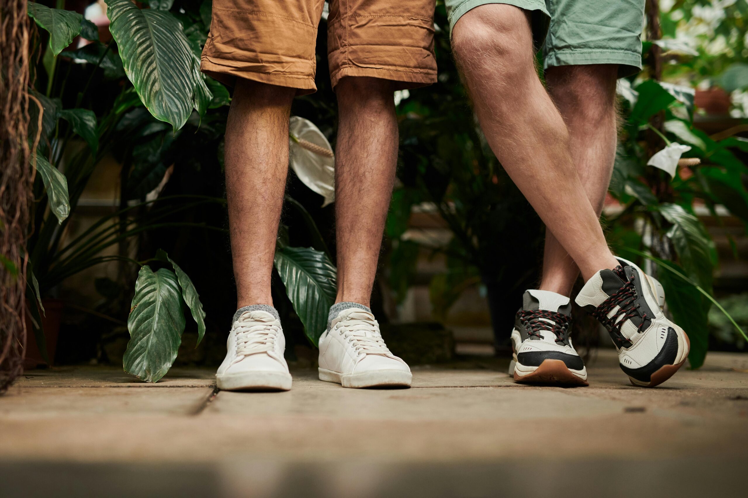 pexels-photo-3228855-3228855-1